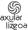 Escudo AXULAR LIZEOA B